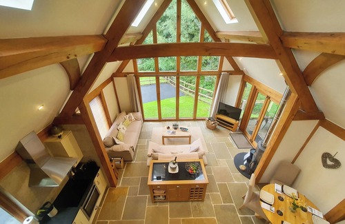 Battle Cabina | Swn Y Nant lodge with hot tub Brecon