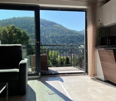 Meszna Apartamento | Szczyrkowskie SKI & FUN 18 - z widokiem na góry - Sauna i Jacuzzi