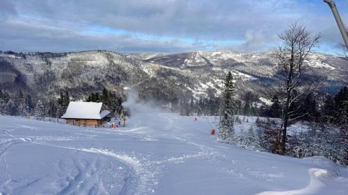 Meszna Apartamento | Szczyrkowskie Ski & Fun Widokowy 5