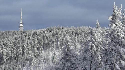 Meszna Apartamento | Szczyrkowskie Ski & Fun Widokowy 5