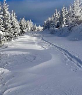 Meszna Apartamento | Szczyrkowskie Ski & Fun Widokowy 5