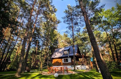 Radzymin Casa | Szumiąca Sosna - Jacuzzi, Ognisko, Sauna, BBQ