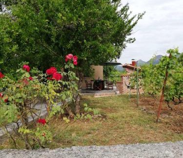 Rijecani Apartamento | T&A Apartment