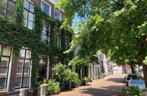 Schiedam Apartamento | 't hart van Schiedam