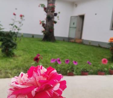 Bela Crkva Apartamento | T.I.M.