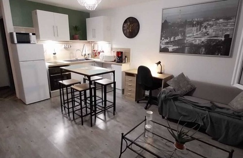 Centre Ville Apartamento | T1 bis apartment near Place Centrale