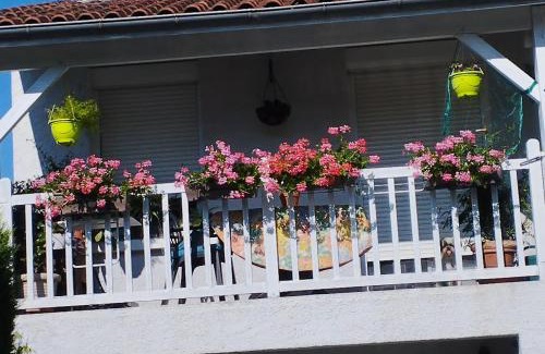 Albi Apartamento | T1 bis indépendant dans maison individuelle