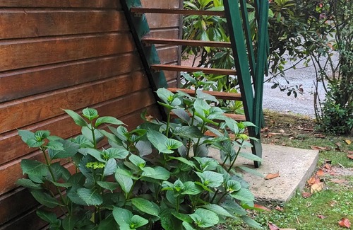 Saint-Malo Apartamento | T1 in wooded park 2.5 km from SAINT-MALO (1st floor)