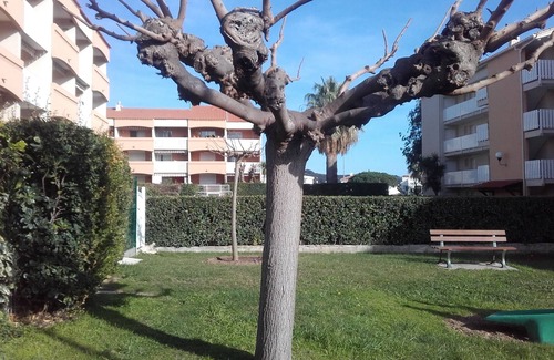 Les Sablettes Apartamento | T2 climatizado 6 personas VAR verano 2020