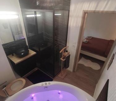 ZAC Andromede Apartamento | T2 balnéothérapie, jardin, parking, tram, boulodrome