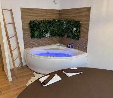 Tournefeuille Apartamento | T2, Balneo, sauna, lit rond, jeux arcades, parking