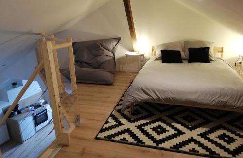 Segre Apartamento | T2 Duplex Segré - Hyper centre - Wifi - Netflix