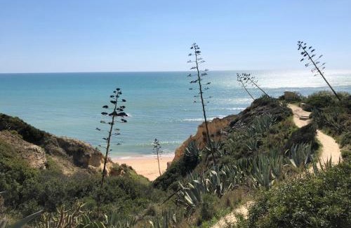 Alporchinhos Casa | T2 Holiday Cottage near the beach C225