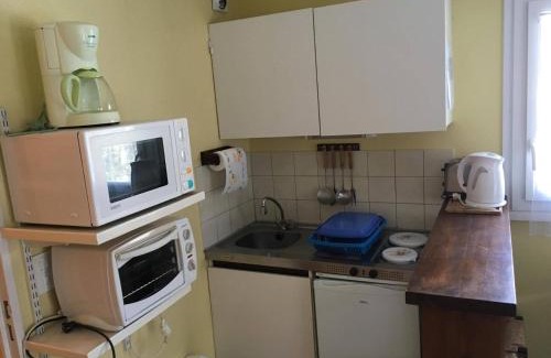 Laveissiere Apartamento | T2 Lioran pieds des pistes