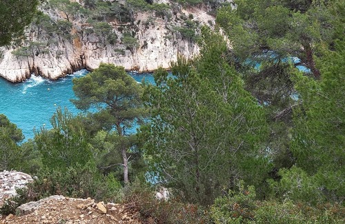 Carnoux-en-Provence Apartamento | T2 with swimming pool near Cassis