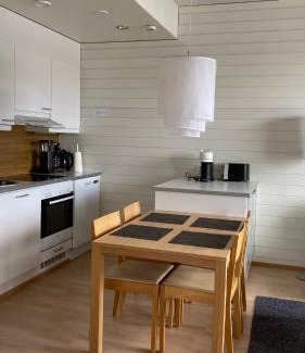 Tahkovuori Apartamento | Tahko Chalets B402