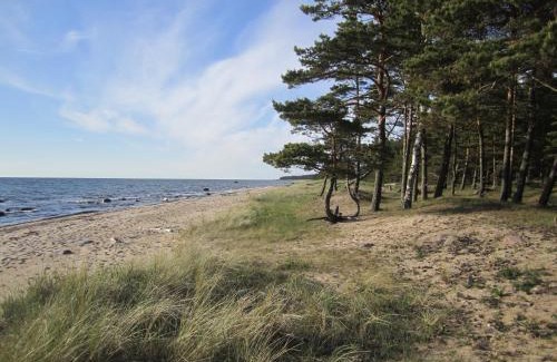 Hiiumaa Casa | Tahkuna Forest House