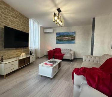 Tain-l'Hermitage Apartamento | Tain centre -T3- wine themed apartment