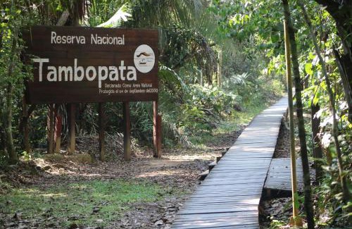 Tambopata Otro | tambobopata green