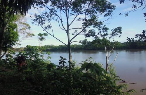 Puerto Maldonado Cabina | Tambopata River