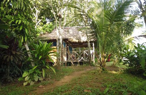 Puerto Maldonado Cabina | Tambopata River