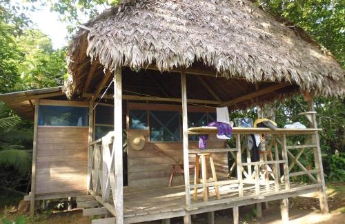 Puerto Maldonado Cabina | Tambopata River