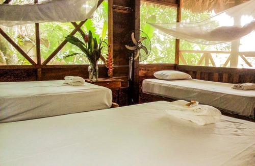 Puerto Maldonado Cabina | Tambopata River