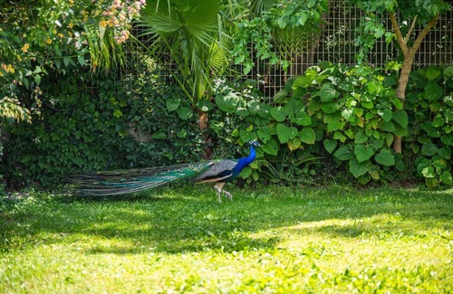 Villaggio delle Mimose Casa | Tanca De Mar - Domu Carignano