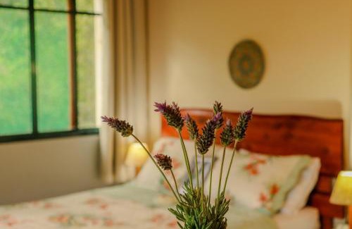 Sao Bento do Sapucai Apartamento | Tapovan