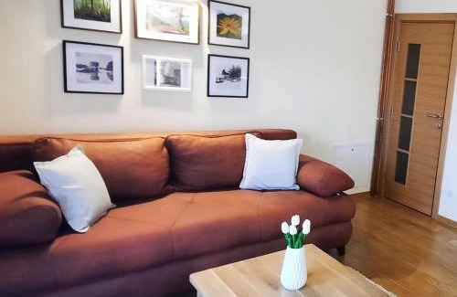 Kremna Apartamento | Tara Apartmani Malešević - 3 lux