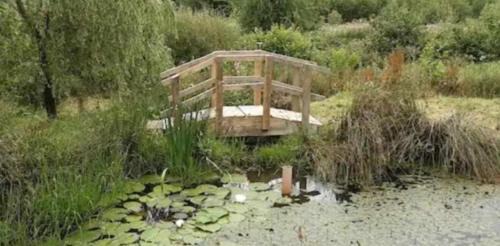 Bronwydd Casa | Tara vegetarian retreat guesthouse