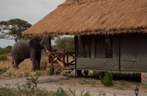 Tarangire National Park Cabina | Tarangire Simba Lodge