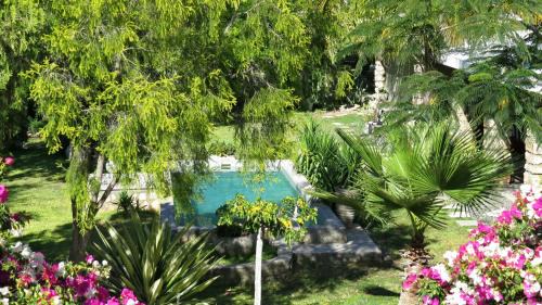 Okaukuejo Casa | Tarentaal Guest Farm