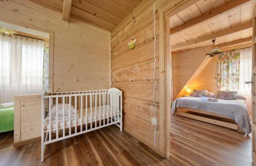 Ciche Apartamento | tatra wooden apartment