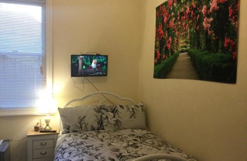 Abbey Casa | TDM Bachelot Lettings Ltd