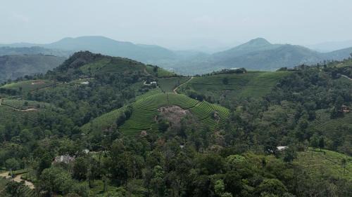 Elappara Villa | Tea Harmony Bunglow