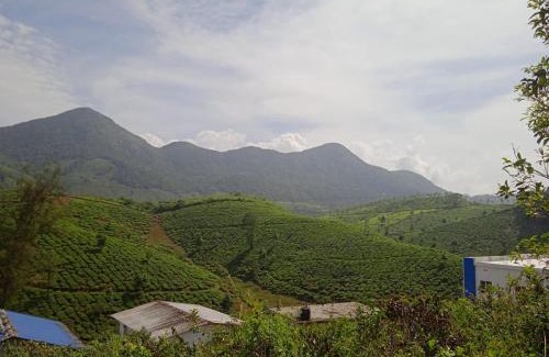 Elappara Casa | Tea Haven homestay