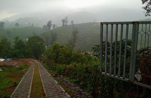 Elappara Casa | Tea Haven homestay
