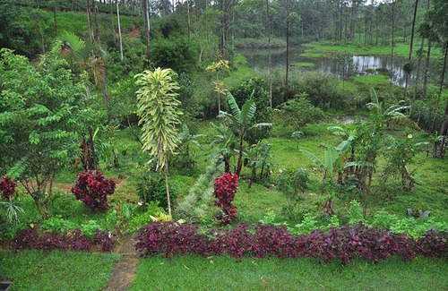 Kithulgala Casa | Teacher's Homestay Kitulgala