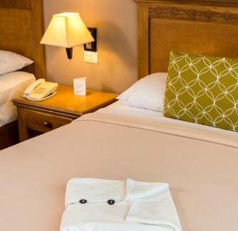 Merida Municipality Hotel | Tecnohotel Mérida Norte