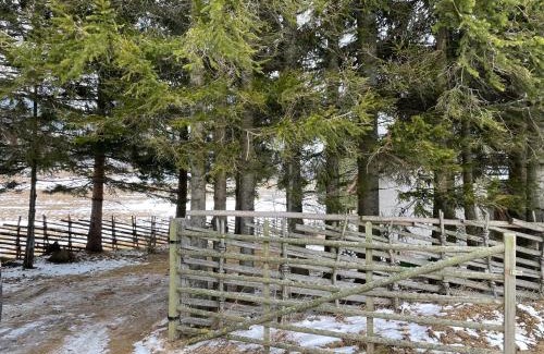 Fladnitz an der Teichalm Casa | Teichalm Lodge Landhaus