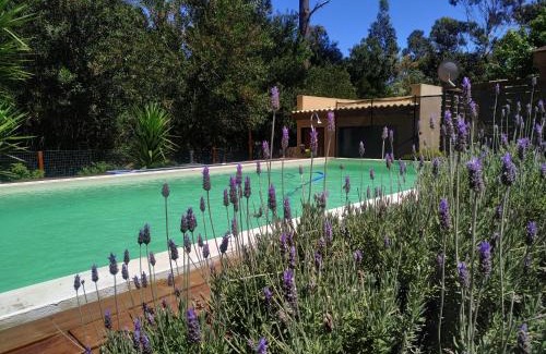 Balneario Argentino Casa | Tekora con piscina Climatizada
