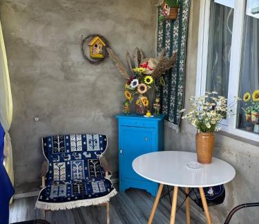 Mirzaani Casa | television