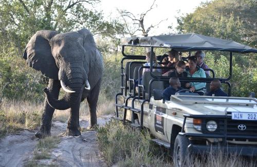 Kosi Bay Otro | Tembe Elephant Park Lodge