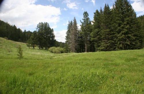 Custer Casa | Tenderfoot Creek Cabin