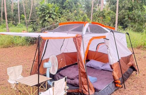 Ko Kood Otro | Tent Room ผู้ใหญ่วุ้น