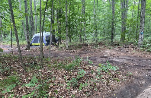 Benzonia Alquiler De RV | Tent w/ Mattresses on Private wooded camp site