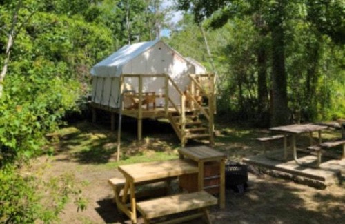 Springfield Otro | Tentrr - Louisiana Tickfaw State Park - Woodland H - Single Camp