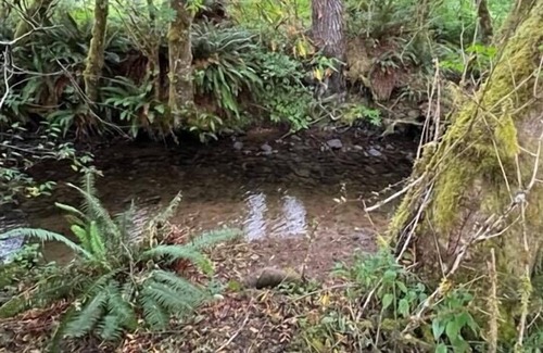 Oregon Coast Alquiler De RV | Tentrr Signature Site - Rippling Waters Retreat...