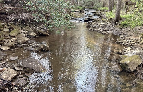 Soddy-Daisy Alquiler De RV | Tentrr Signature Site - Terry's Island